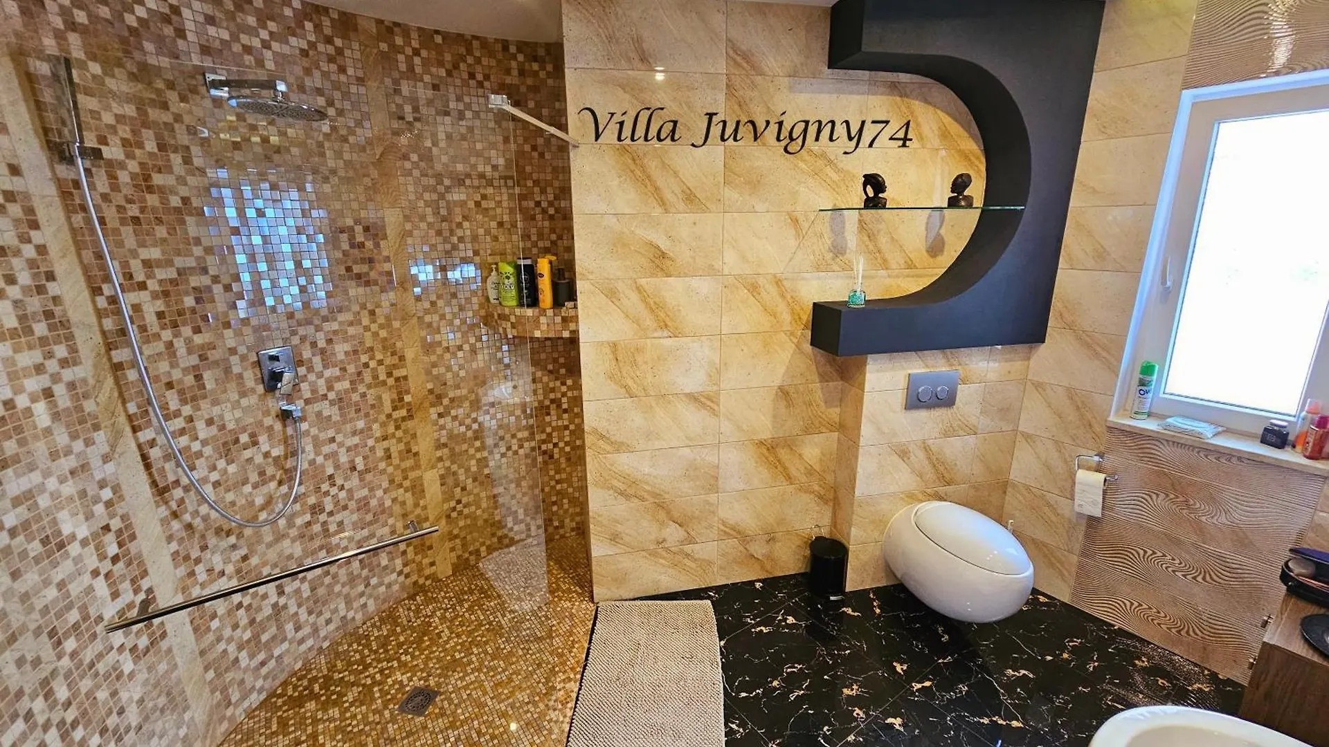 Villa 5*, 15 Personnes, Piscine A 20 Min De Geneve Juvigny  0*, Juvigny (Haute-Savoie) France