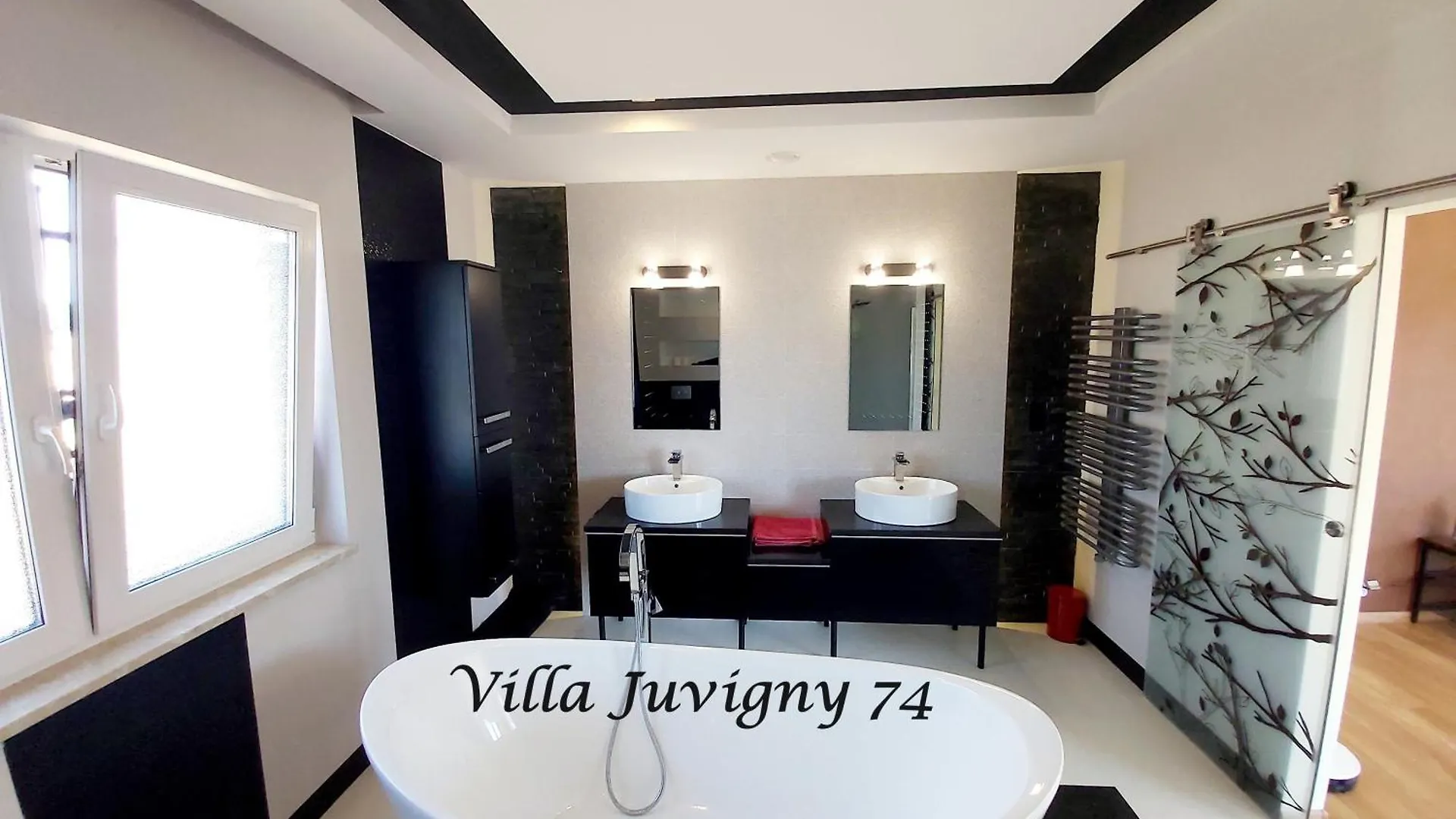 Villa 5*, 15 Personnes, Piscine A 20 Min De Geneve Juvigny